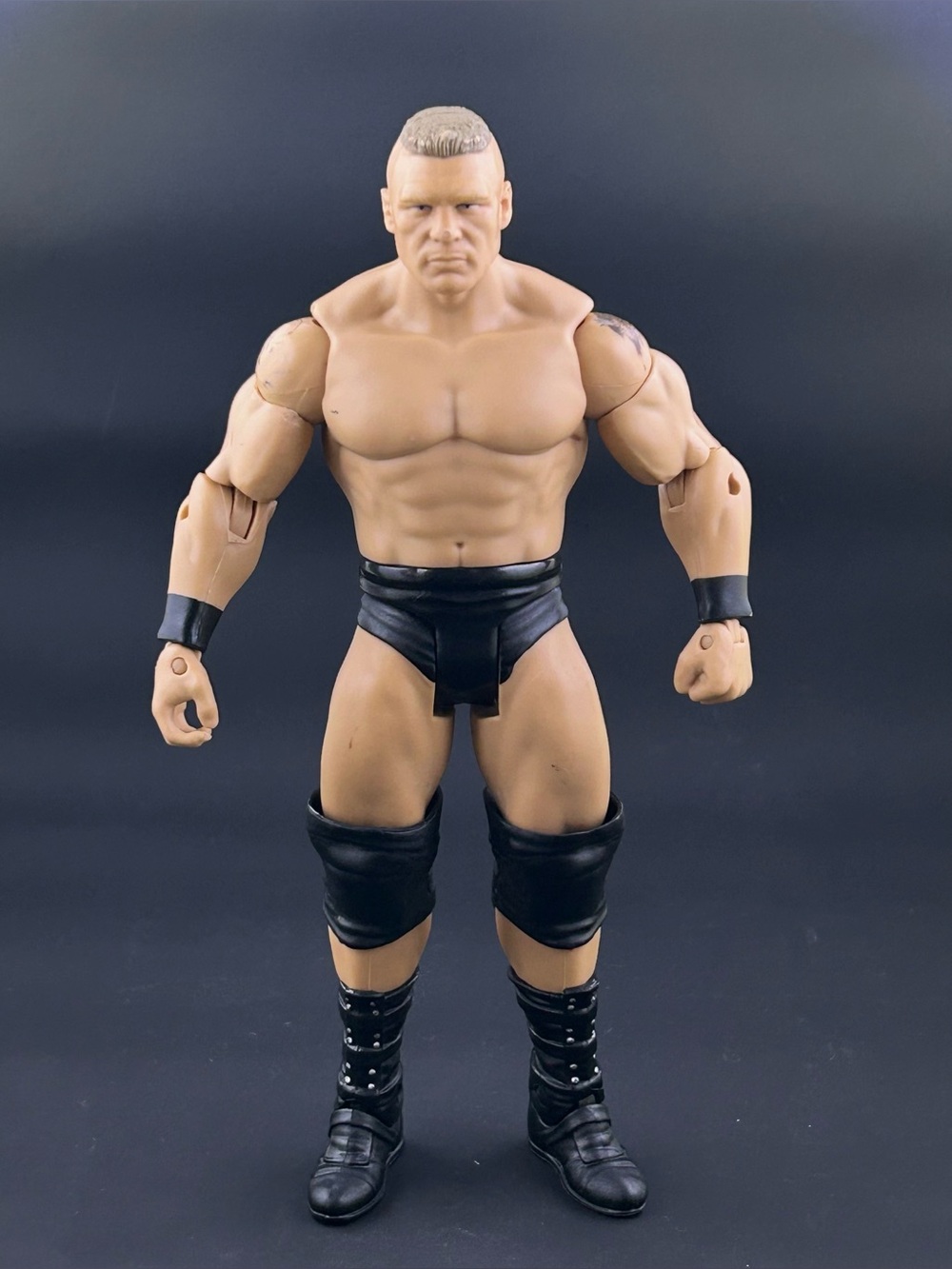 Mattel WWE Basic Brock Lesnar Wrestling Action Figure 2014 Wrestlemania Fantasy
